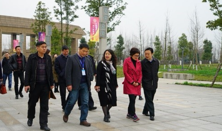 雅安市副市长衡彤一行莅临我院考察交流